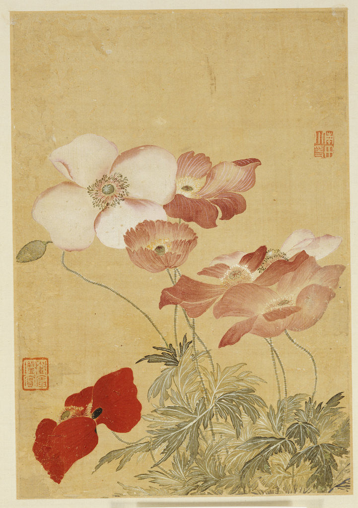 Detail of Poppies by Yun Shouping