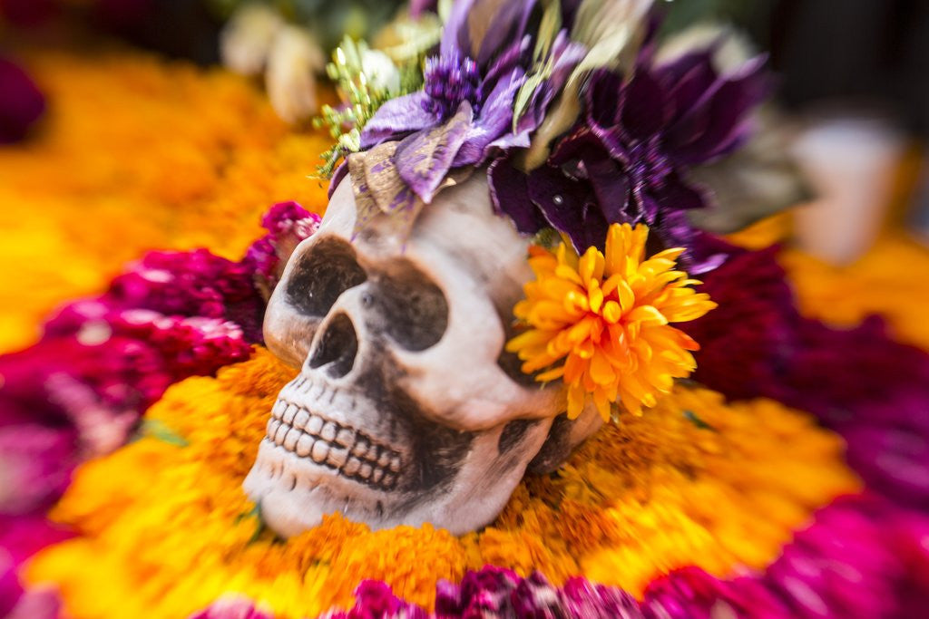 Detail of Flowers and Skull Laid out for Day of the Dead Celebration by Anonymous