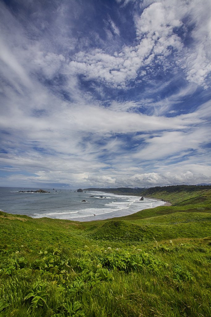 Detail of Coastline of Southern Oregon state by Anonymous