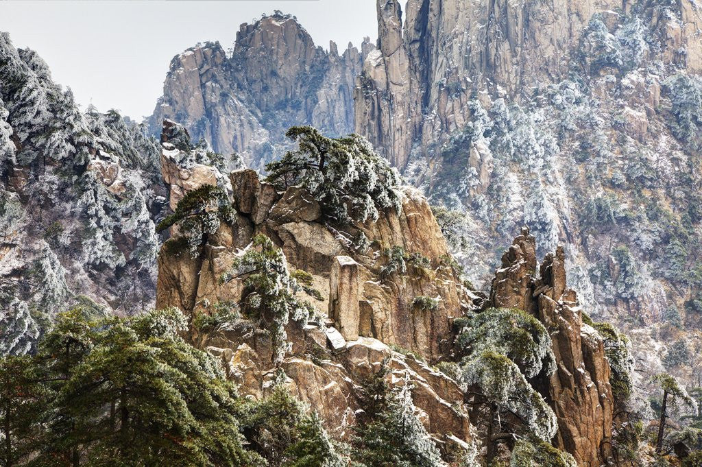 Detail of Evening Light on The Yellow Mountains by Anonymous