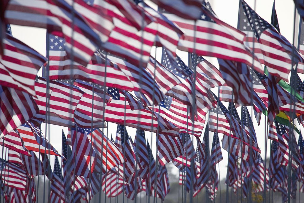 Detail of 3000 US Flags for 9/11 by Anonymous