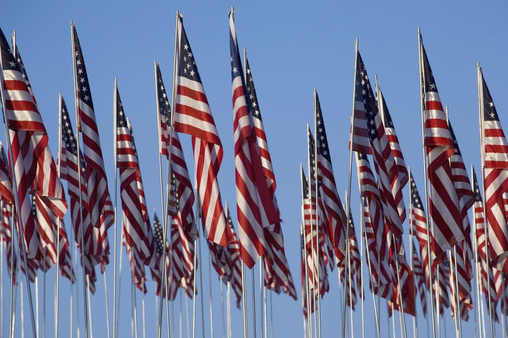 Detail of 3000 US Flags for 9/11 by Corbis