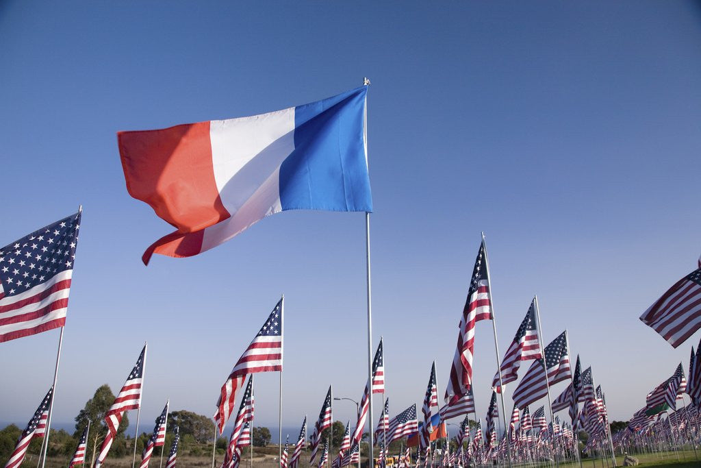 Detail of US and French Flag by Anonymous