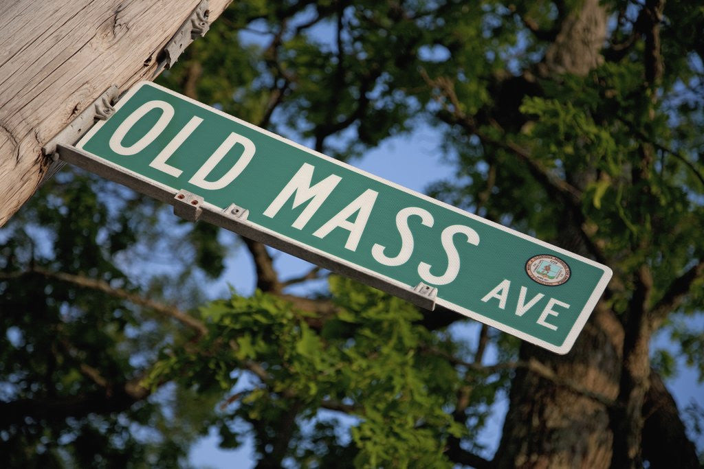 Detail of Old Mass Avenue by Anonymous