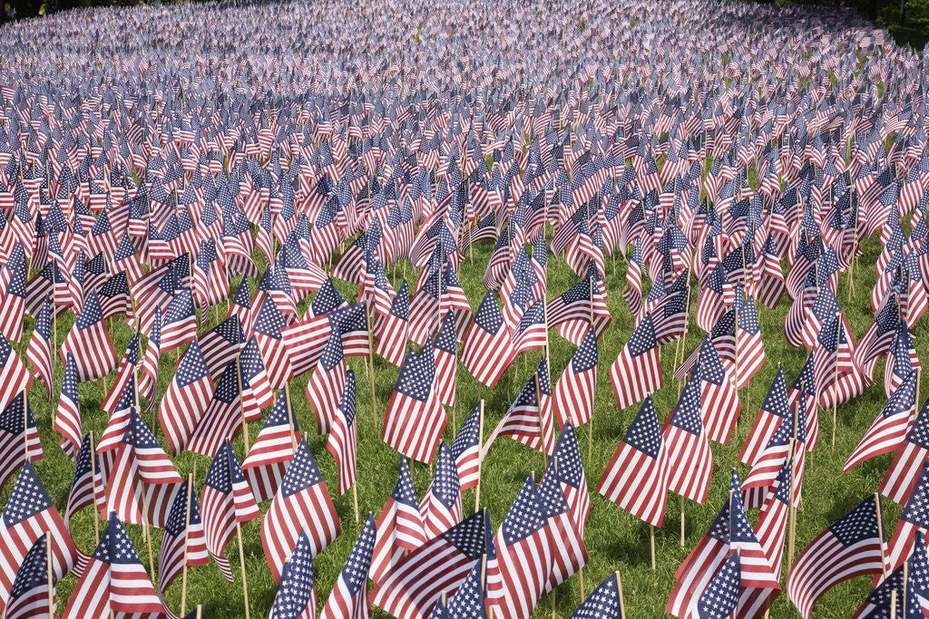 Detail of 20,000 American Flags for Memorial Day, Boston Commons, Boston, MA by Anonymous