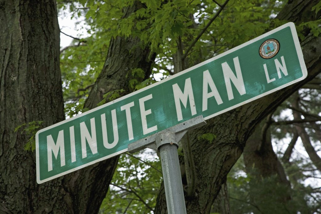 Detail of Minute Man Lane, American Revolution by Anonymous