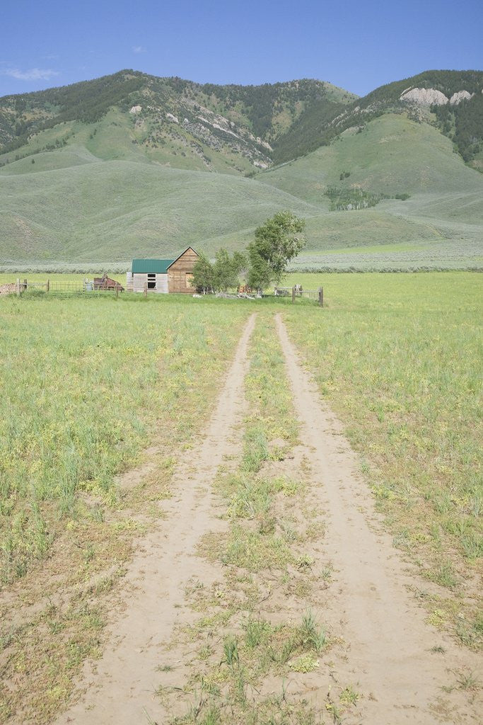 Detail of Dirt driveway to western ranch by Anonymous