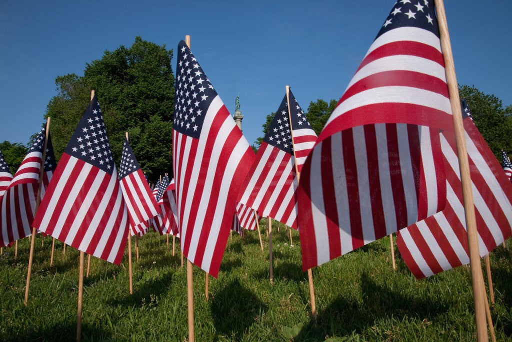 Detail of 20,000 American Flags, Boston Common, Memorial Day, 2012, Boston, MA by Anonymous