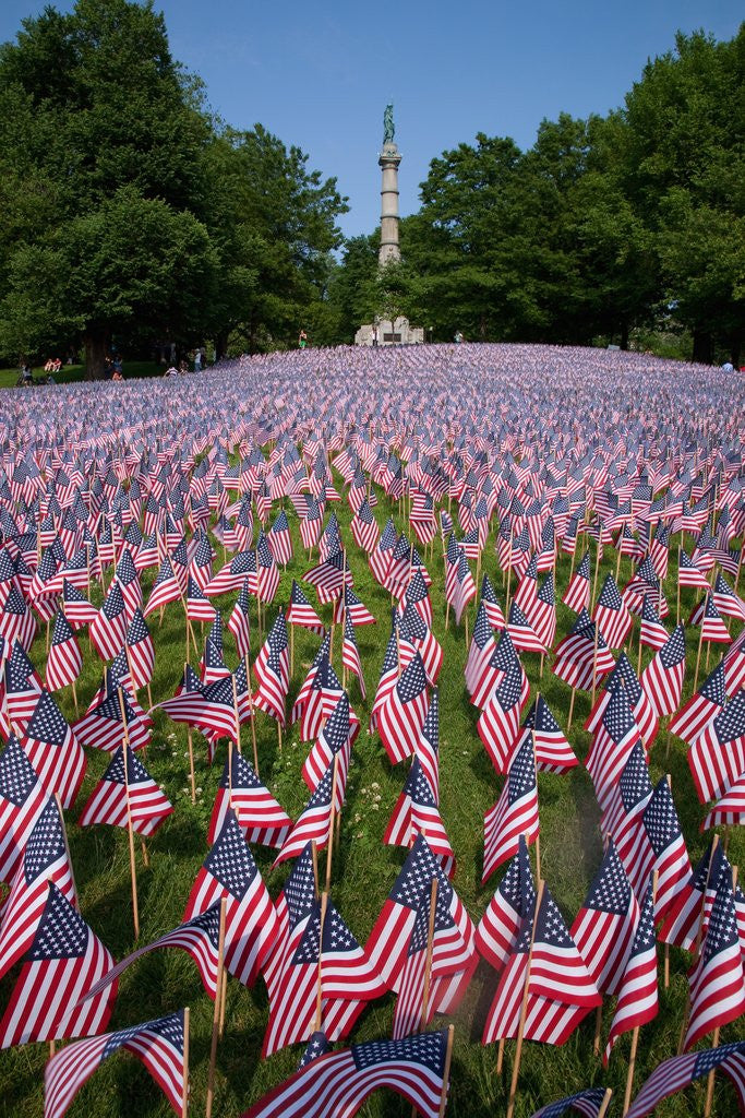 Detail of 20,000 American Flags, Boston Common, Memorial Day, 2012, Boston, MA by Corbis