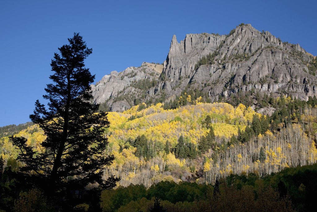 Detail of San Juan Mountains and autumn color behind Telluride, CO off mining road by Anonymous