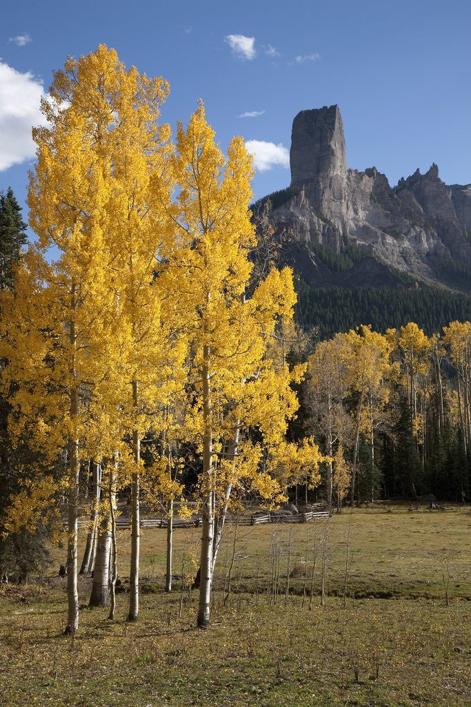 Detail of Chimney Peak and Courthouse Mountains in the Uncompahgre National Forest, Colorado by Anonymous