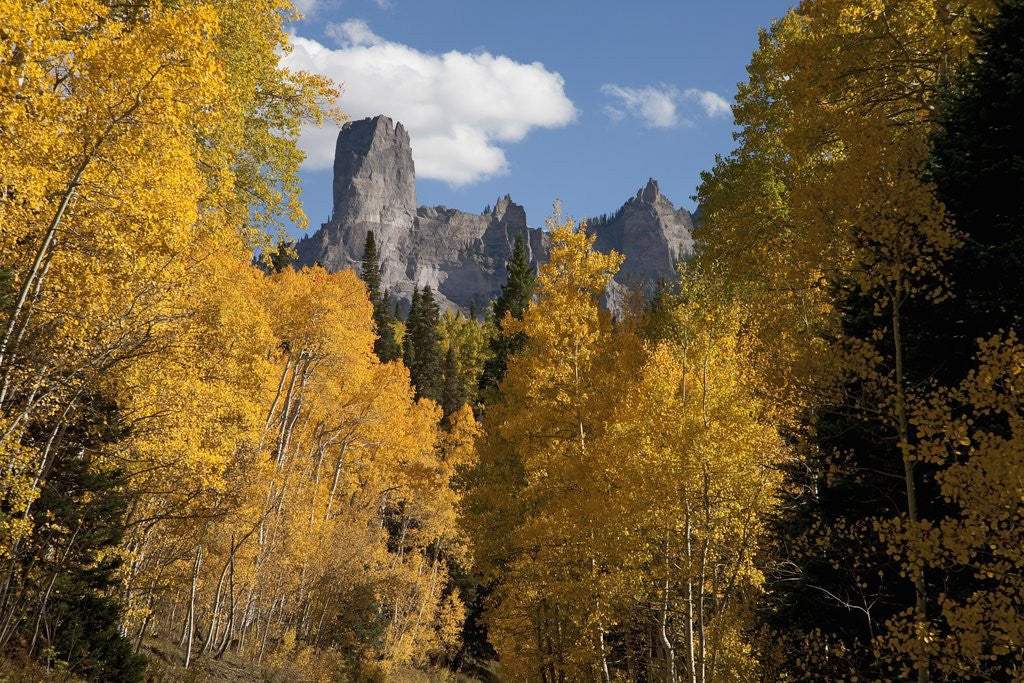 Detail of Chimney Peak and Courthouse Mountains in the Uncompahgre National Forest, Colorado by Anonymous