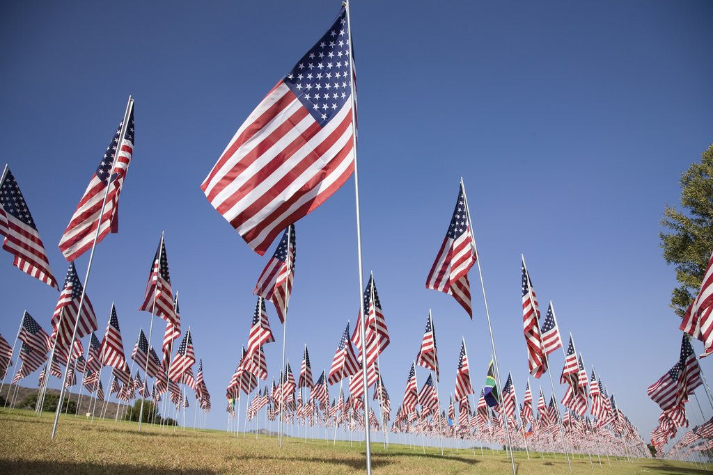 Detail of US Flags for 9/11 Memorial by Anonymous