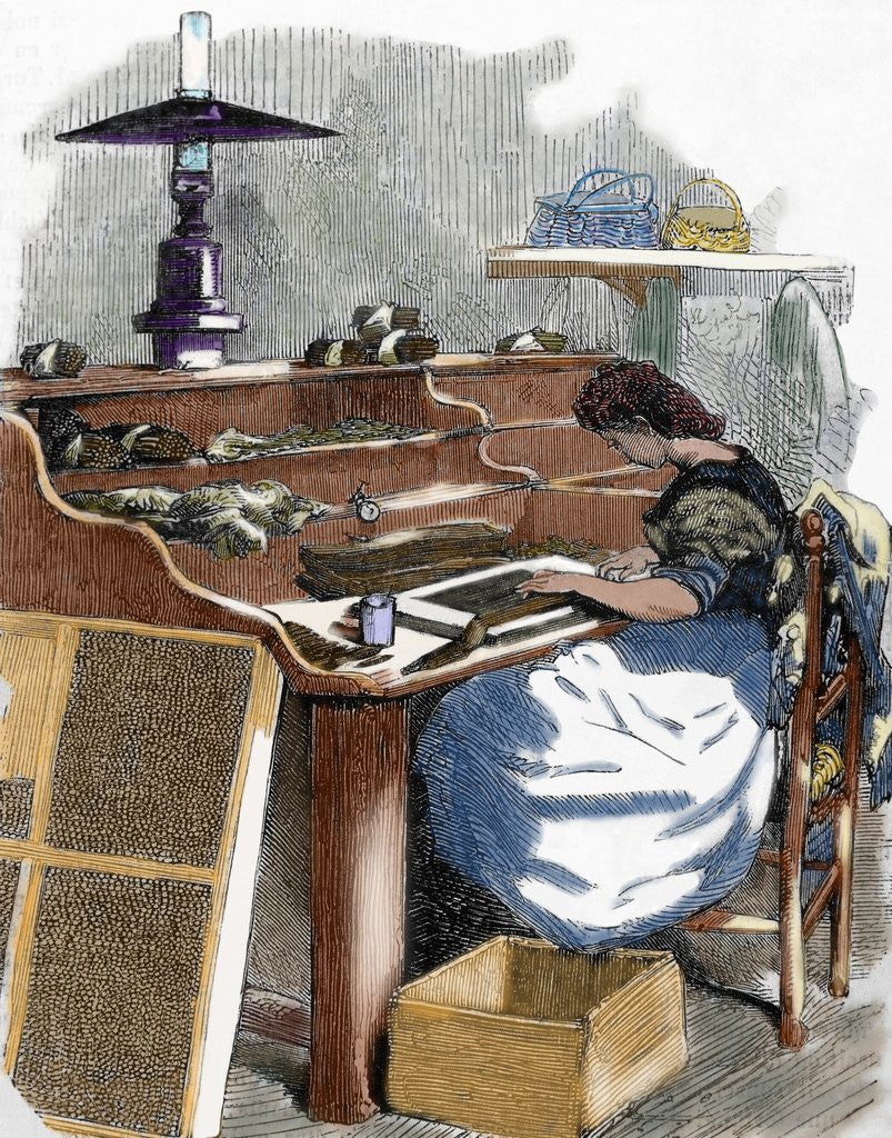 Detail of The snuff industry. Woman rolling cigars. France. by Anonymous