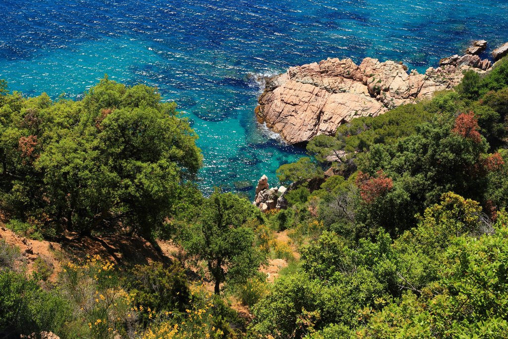 Detail of View of the coast from the panoramic road to Sant Feliu de Guixols by Anonymous