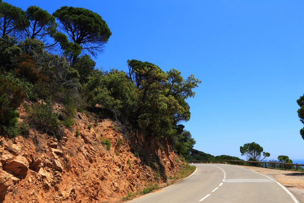 Detail of View of the coast from the panoramic road to Sant Feliu de Guixols by Anonymous