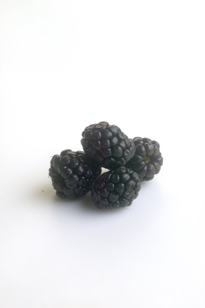 Detail of Blackberries by Anonymous