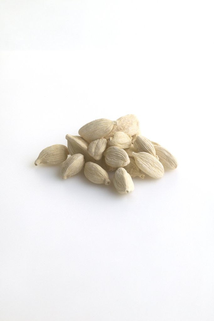 Detail of White cardamom pods by Anonymous