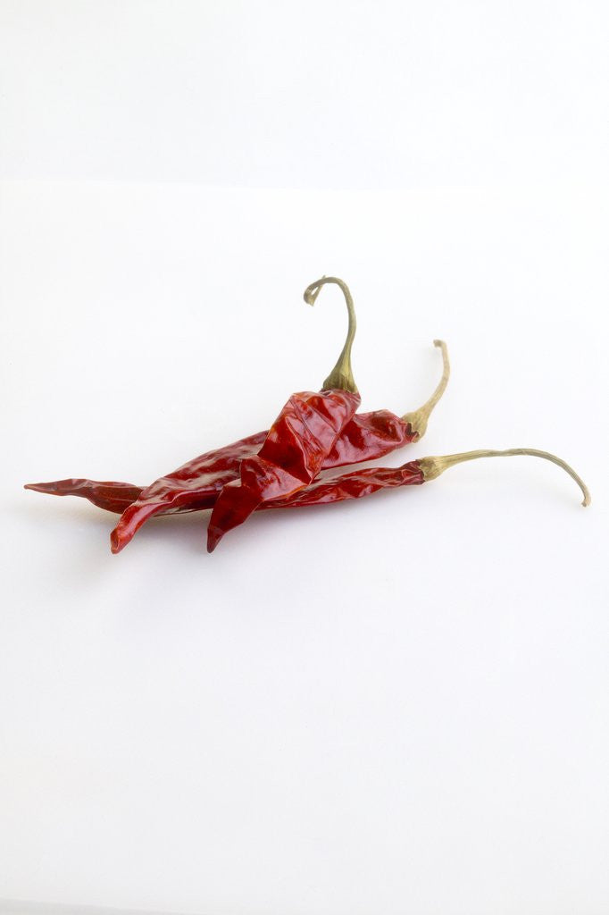 Detail of Dried deArbol chiles by Anonymous