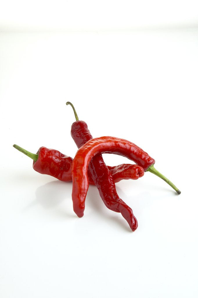 Detail of Chile peppers by Anonymous