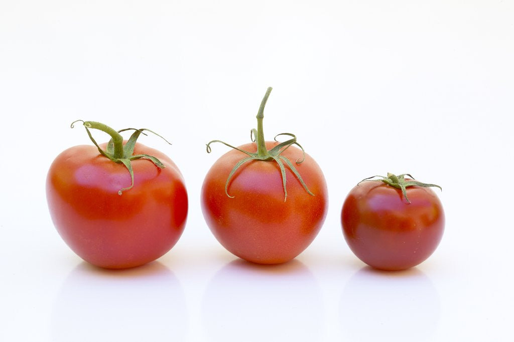 Detail of Tomatoes by Anonymous