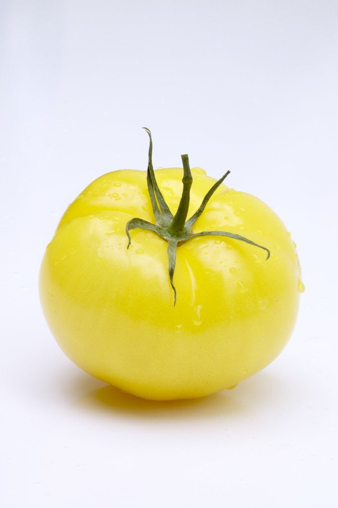 Detail of Beefsteak yellow tomato by Anonymous