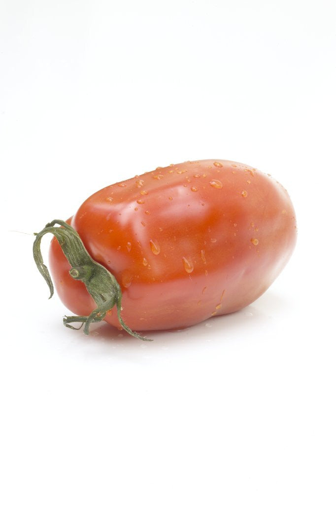 Detail of Plum tomato by Anonymous