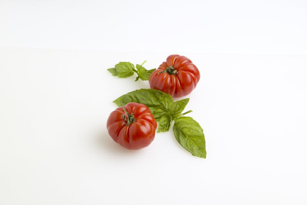 Detail of Heirloom tomatoes with basil by Anonymous