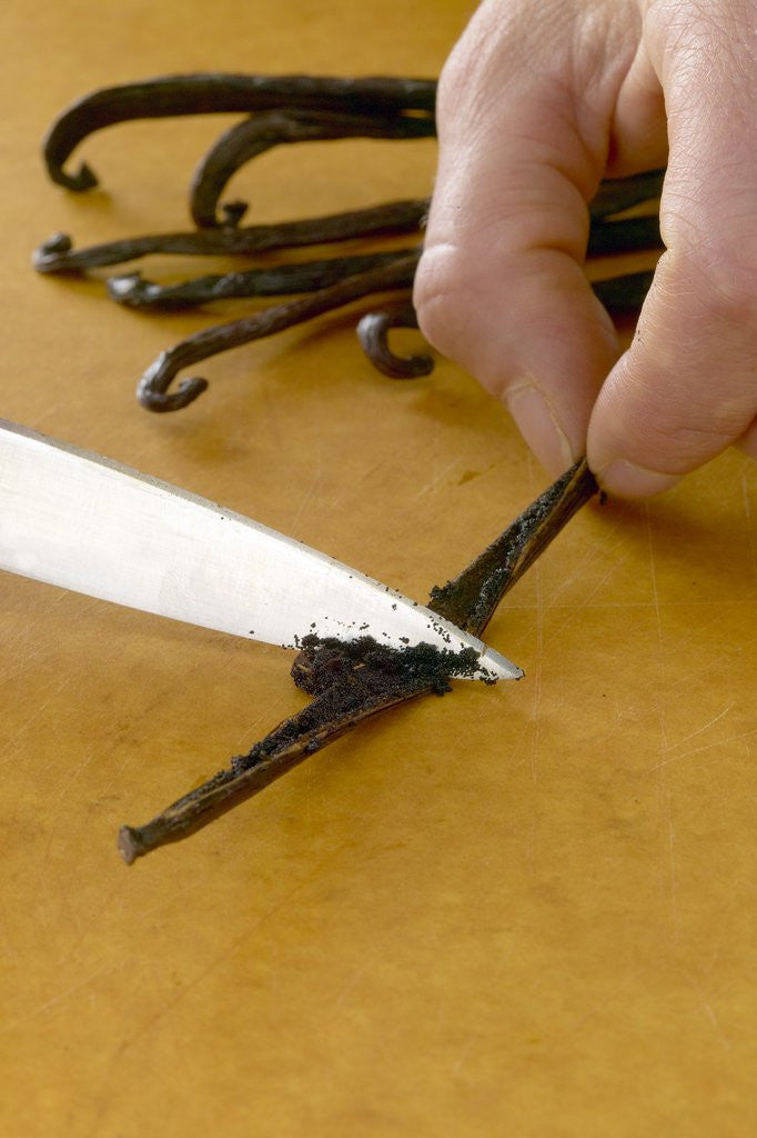 Detail of Vanilla beans by Anonymous
