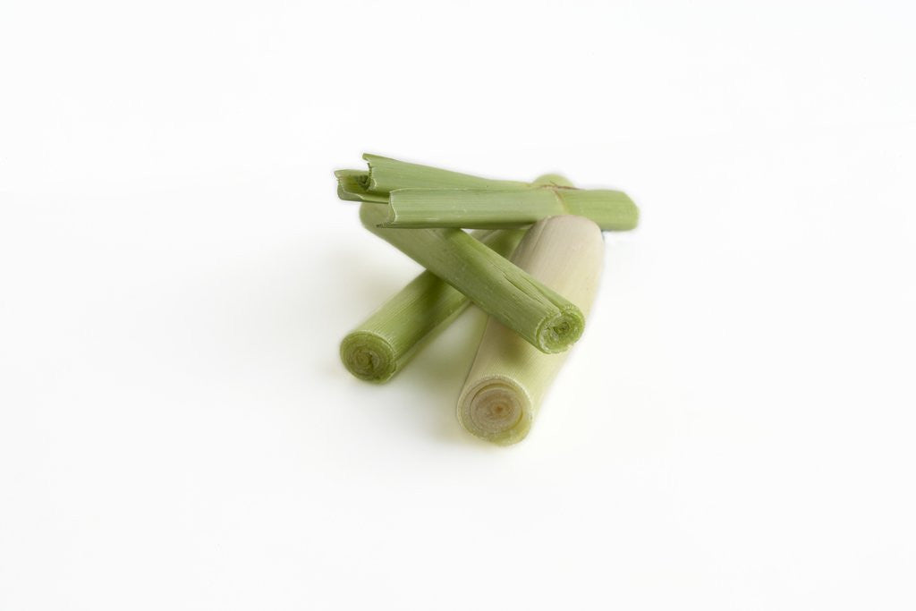 Detail of Sliced lemongrass by Anonymous