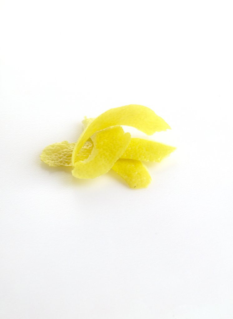 Detail of Lemon peel by Anonymous