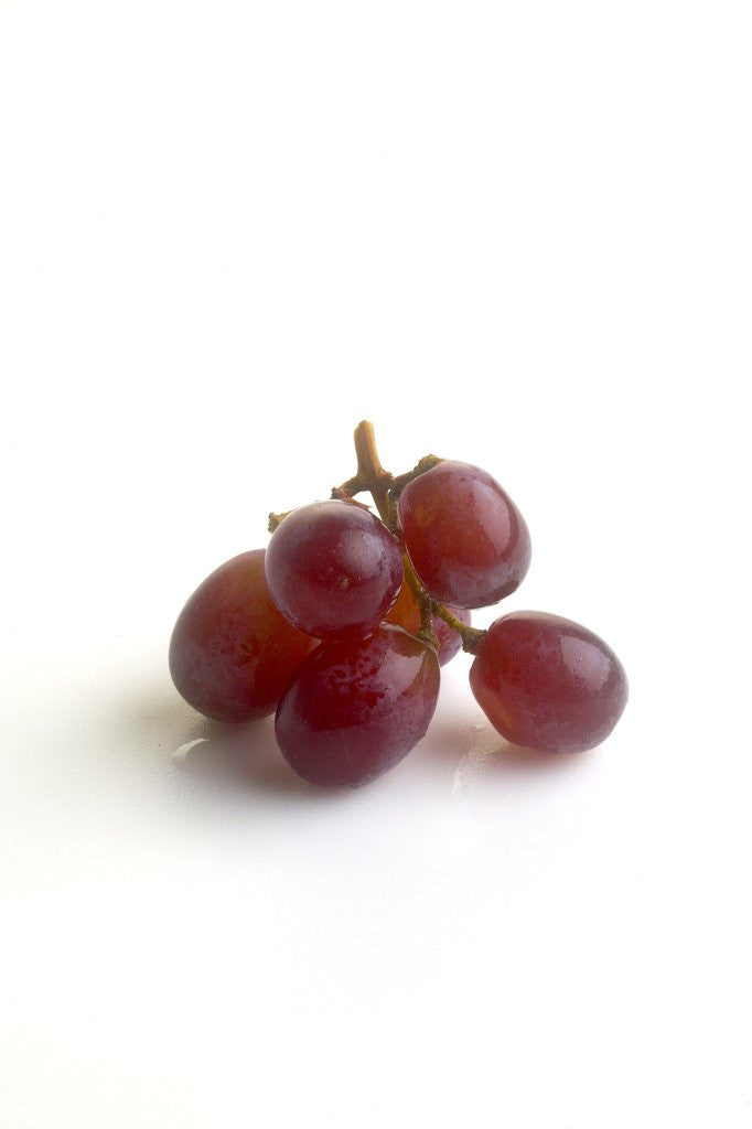 Detail of Red grapes by Anonymous