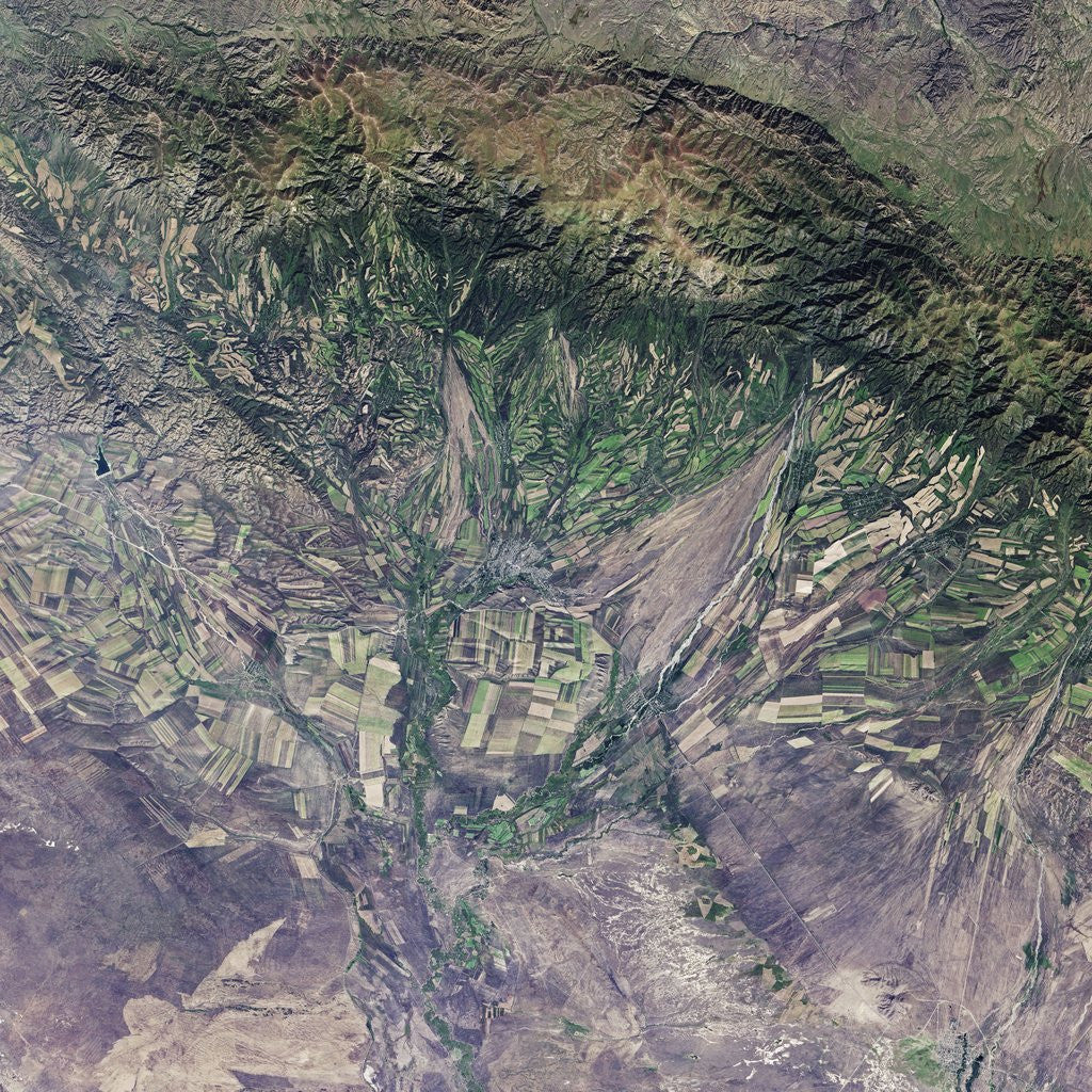 Detail of Satellite view of agricultural fields in Kazakhstan by Anonymous