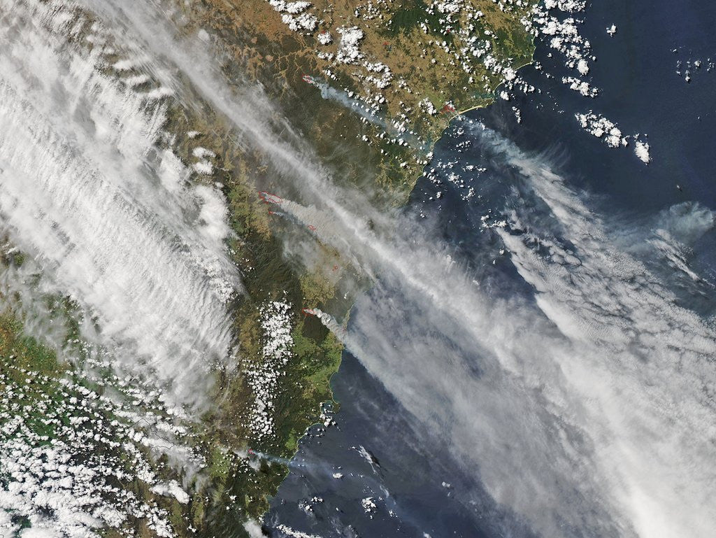 Detail of Satellite view of wild fires around Sydney, Australia by Anonymous
