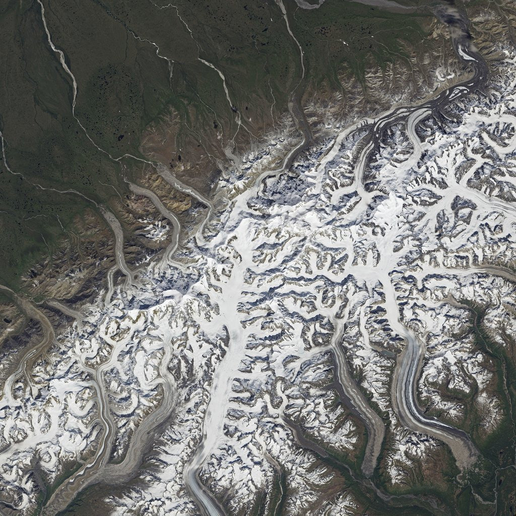 Detail of Satellite image of Denali National Park and Preserve by Anonymous