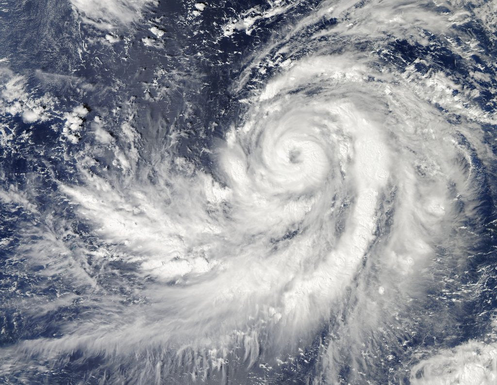 Detail of Satellite image of Typhoon Francisco over the Pacific Ocean by Anonymous