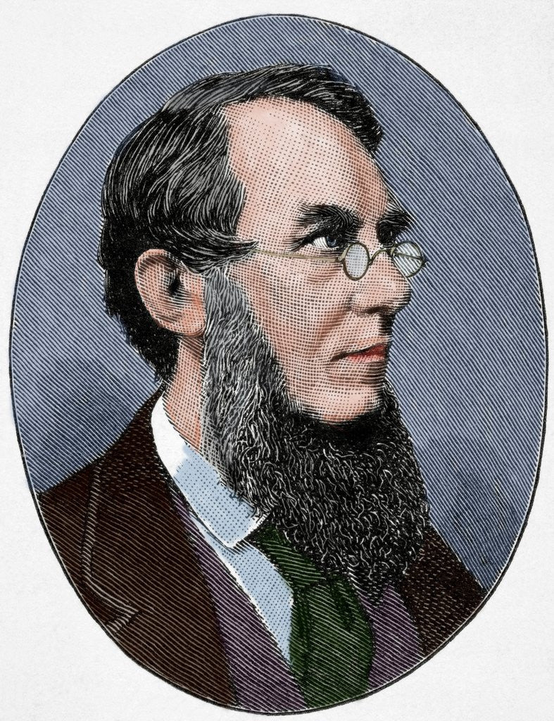 Detail of Sir Joseph Dalton Hooker(1817-1911) by Anonymous