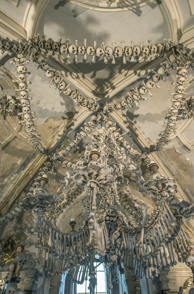 Detail of Bone Chandelier by Anonymous