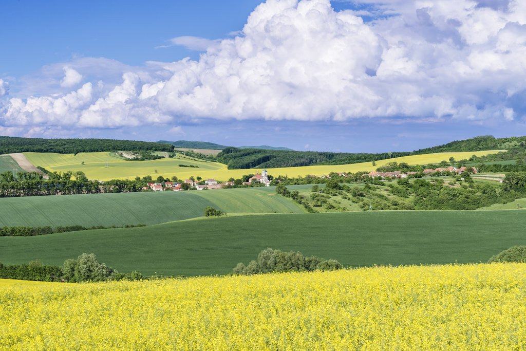 Detail of Spring Farm Fields by Anonymous