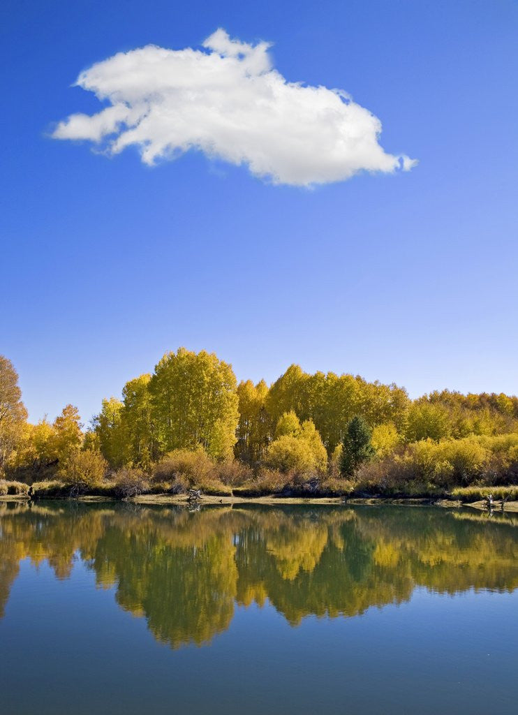 Detail of Deschutes river by Anonymous