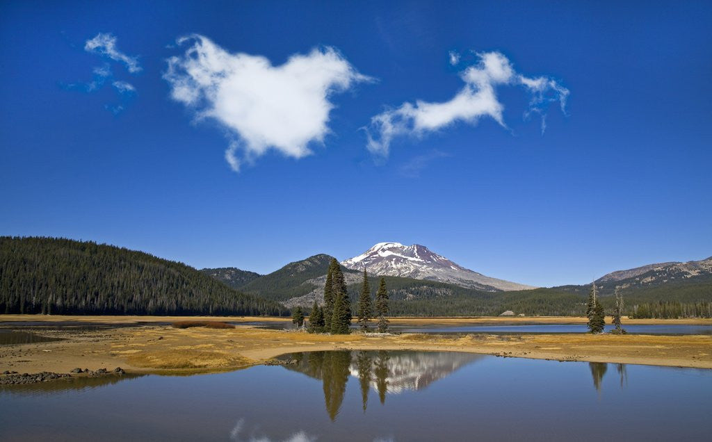 Detail of Oregon by Anonymous