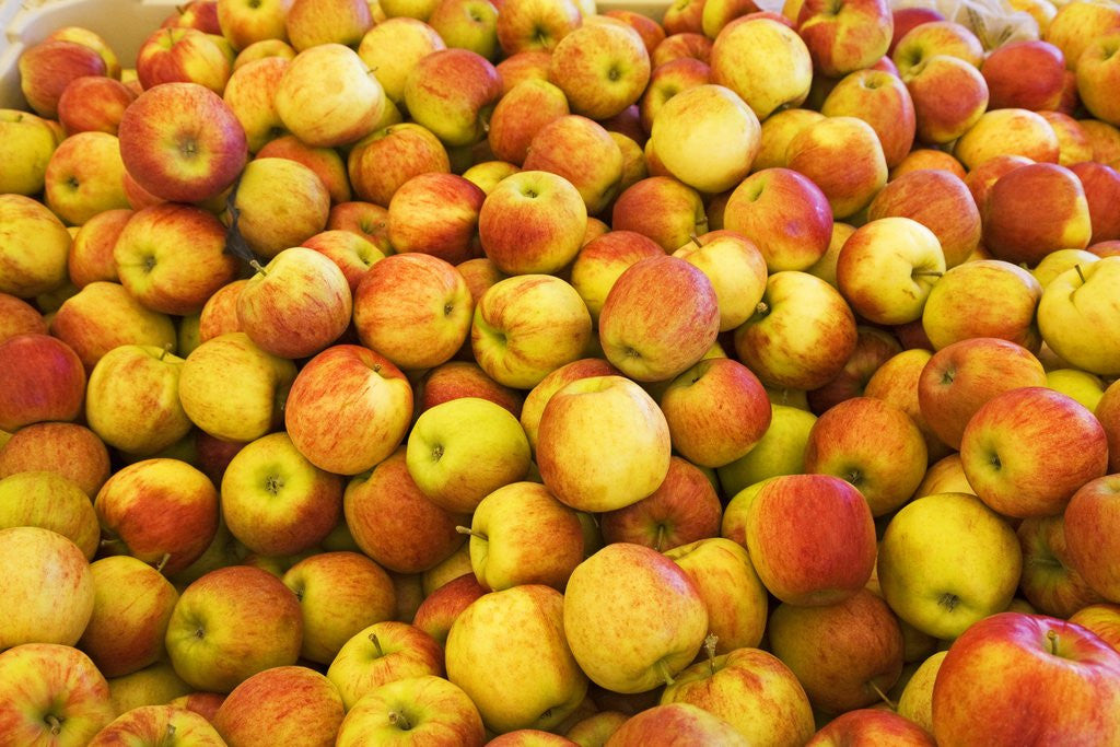 Detail of apples by Anonymous