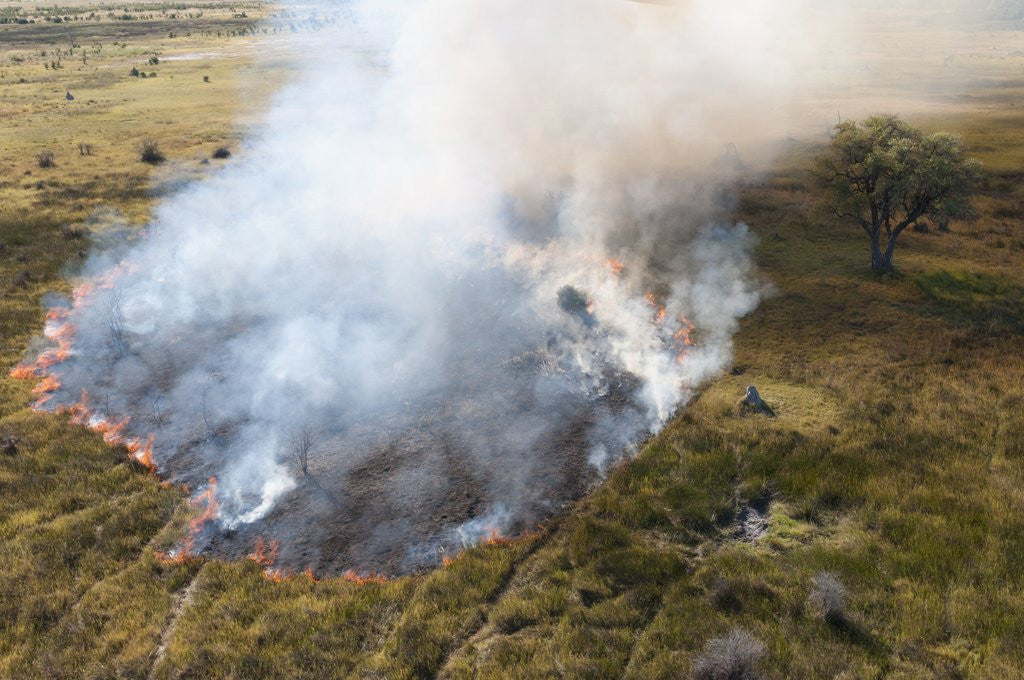 Detail of Bushfire in the Okavango Delta by Corbis