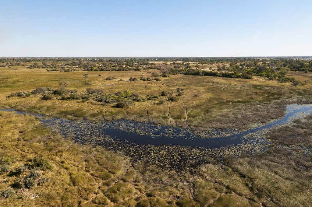 Detail of Aerial view of Okavango Delta by Anonymous