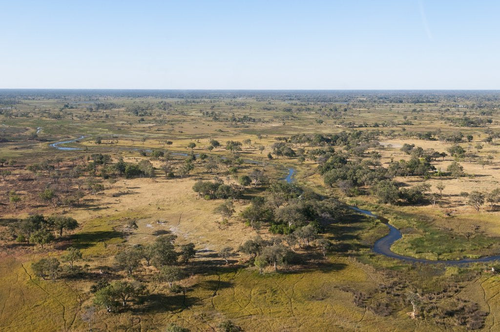 Detail of Aerial view of Okavango Delta by Anonymous