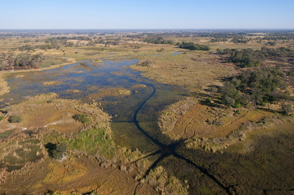 Detail of Aerial view of Okavango Delta by Anonymous