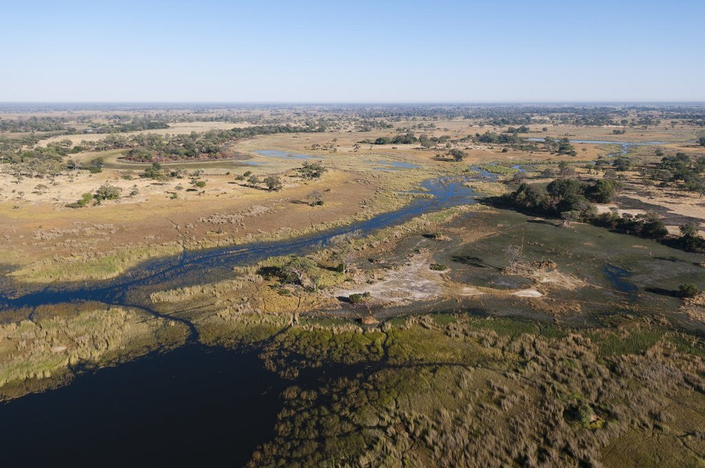 Detail of Aerial view of Okavango Delta by Anonymous