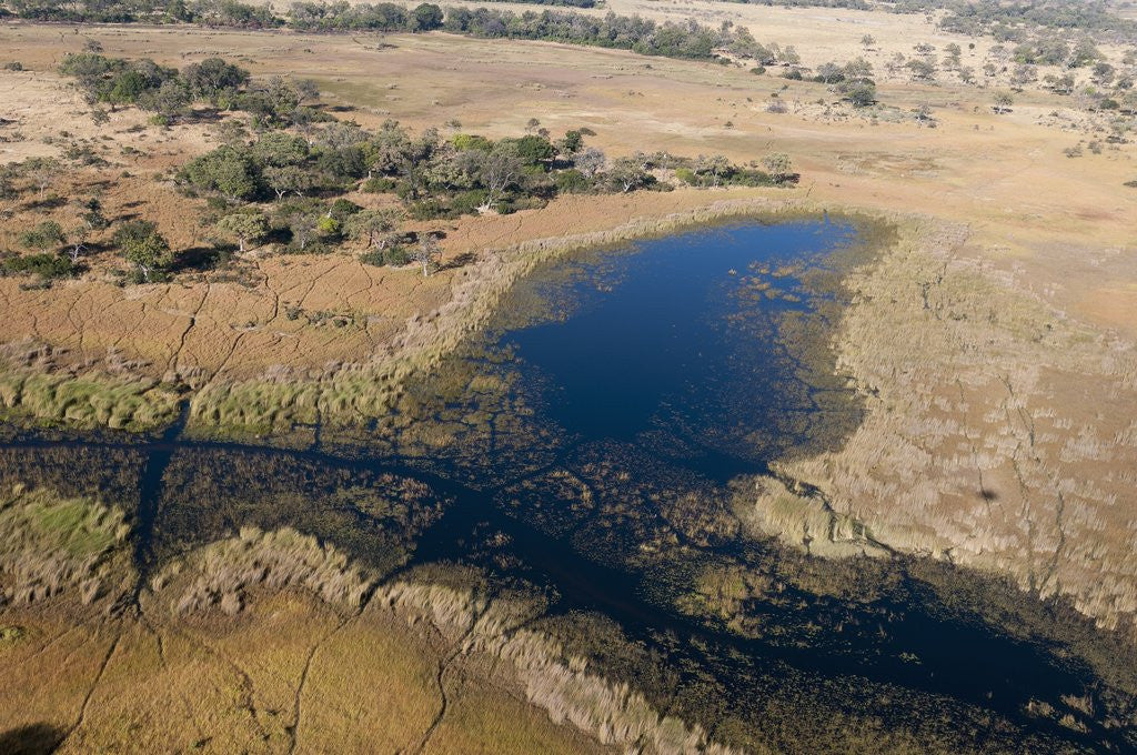 Detail of Aerial view of Okavango Delta by Corbis