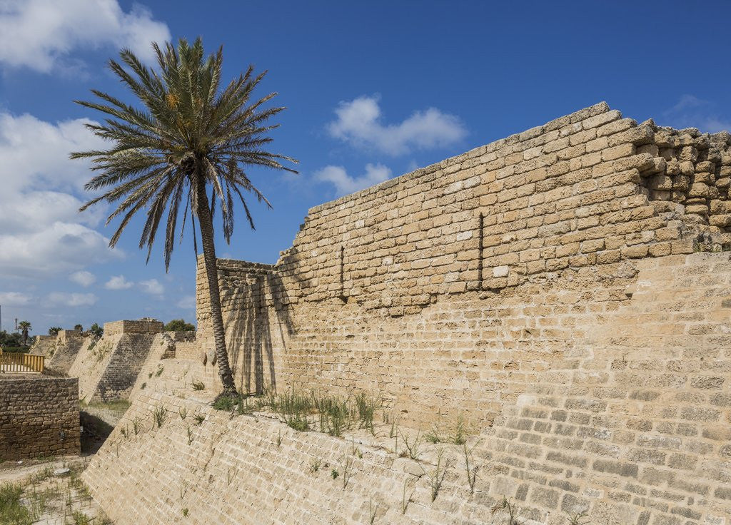 Detail of Caesarea Harbor National Park, the walls of the Crusader City by Anonymous