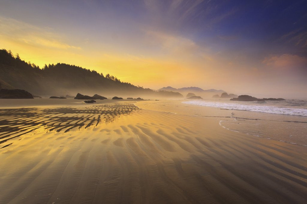 Detail of Sunrise over Crescent Beach, Oregon Coast, Pacific Ocean, Pacific Northwest by Anonymous